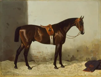 Homem marrom no estábulo